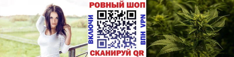 Марихуана Малая Вишера