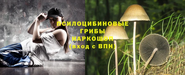 гашик Балабаново